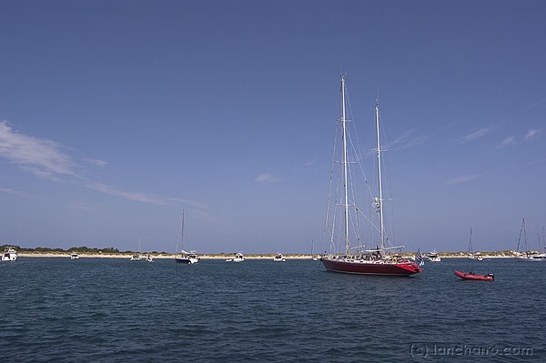 DateTime: 2004:06:29 21:06:36
Software: Adobe Photoshop CS Windows
ExifImageLength: 399
ExifImageWidth: 600