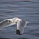 DateTime: 2004:06:28 21:37:18
Software: Adobe Photoshop CS Windows
ExifImageLength: 399
ExifImageWidth: 600